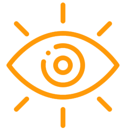 Vision Icon