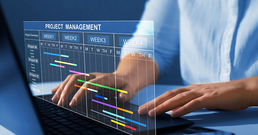Project Management Services